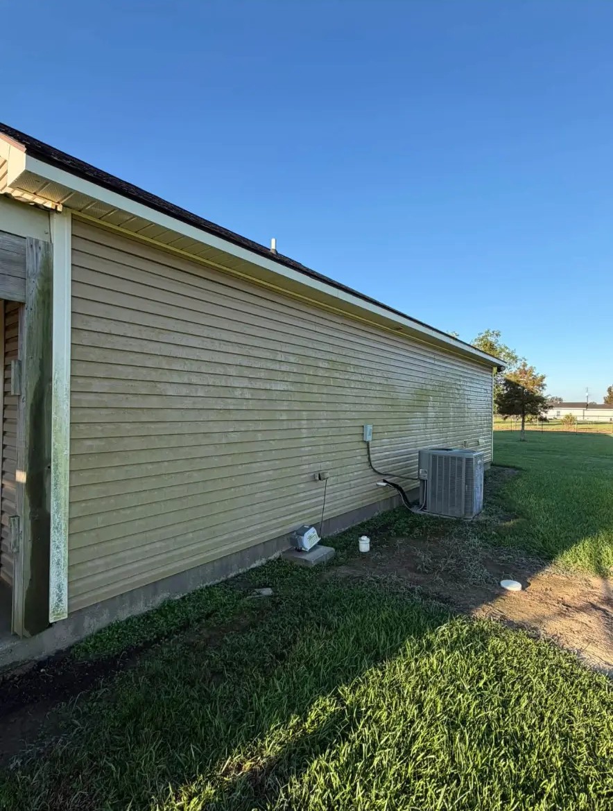 Vinyl siding — green algae gone — before